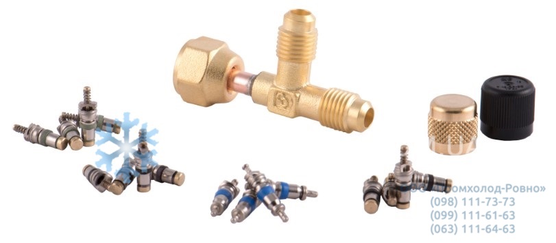 Access fittings and valves cores Castel