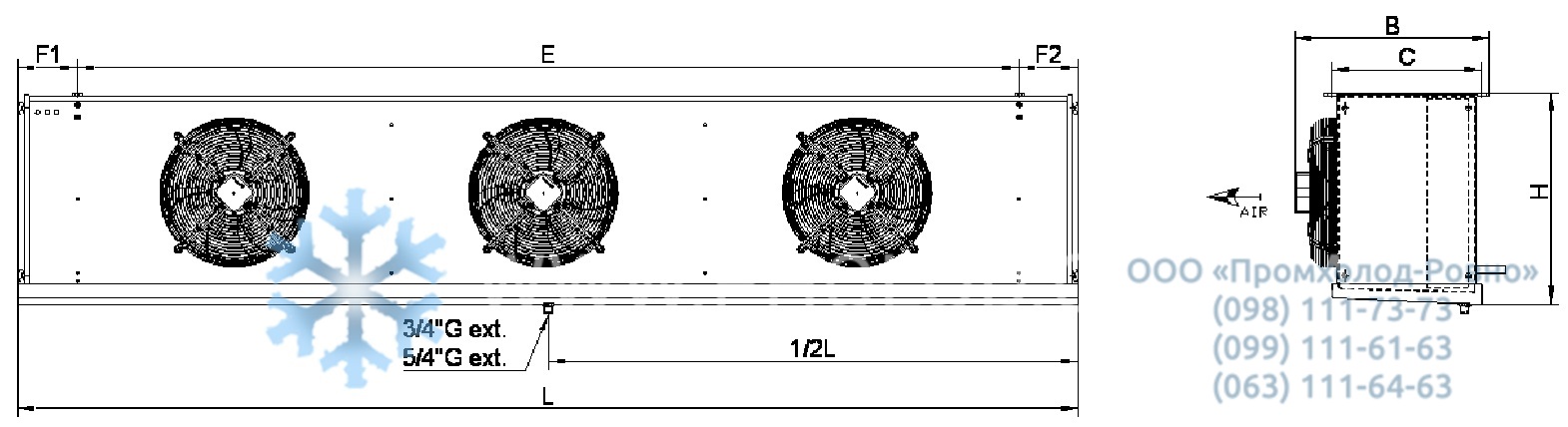 CCD43307