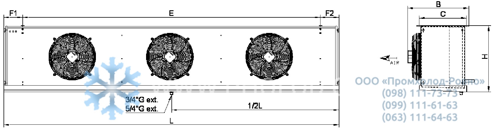 CCD43407