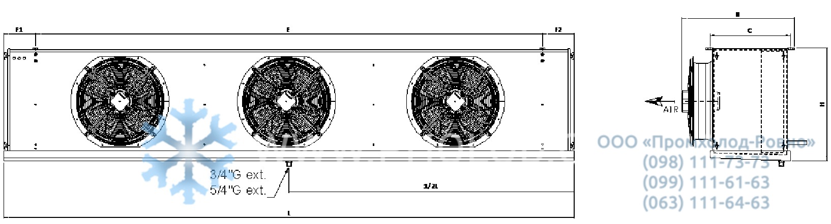 CCD83507