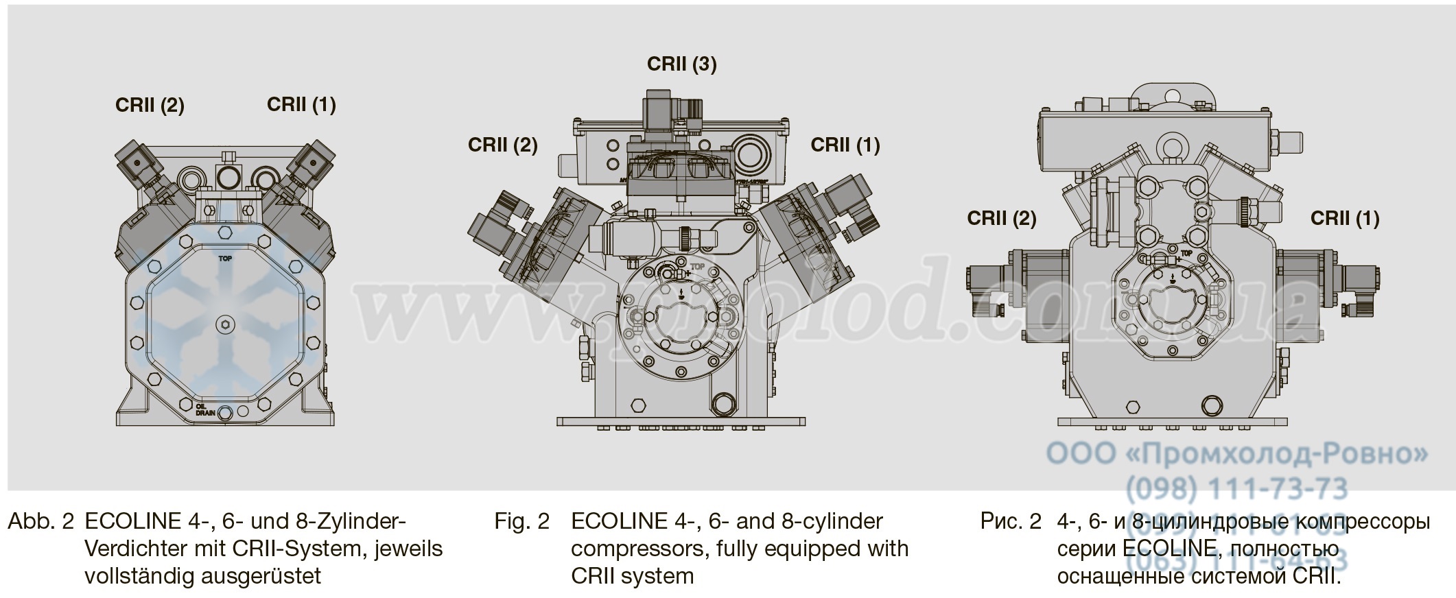 CRII Bitzer ECOLINE 3