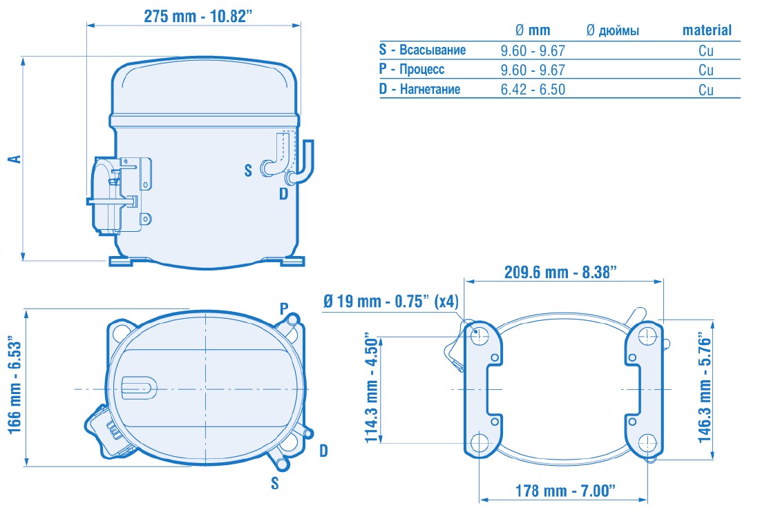 DWG11