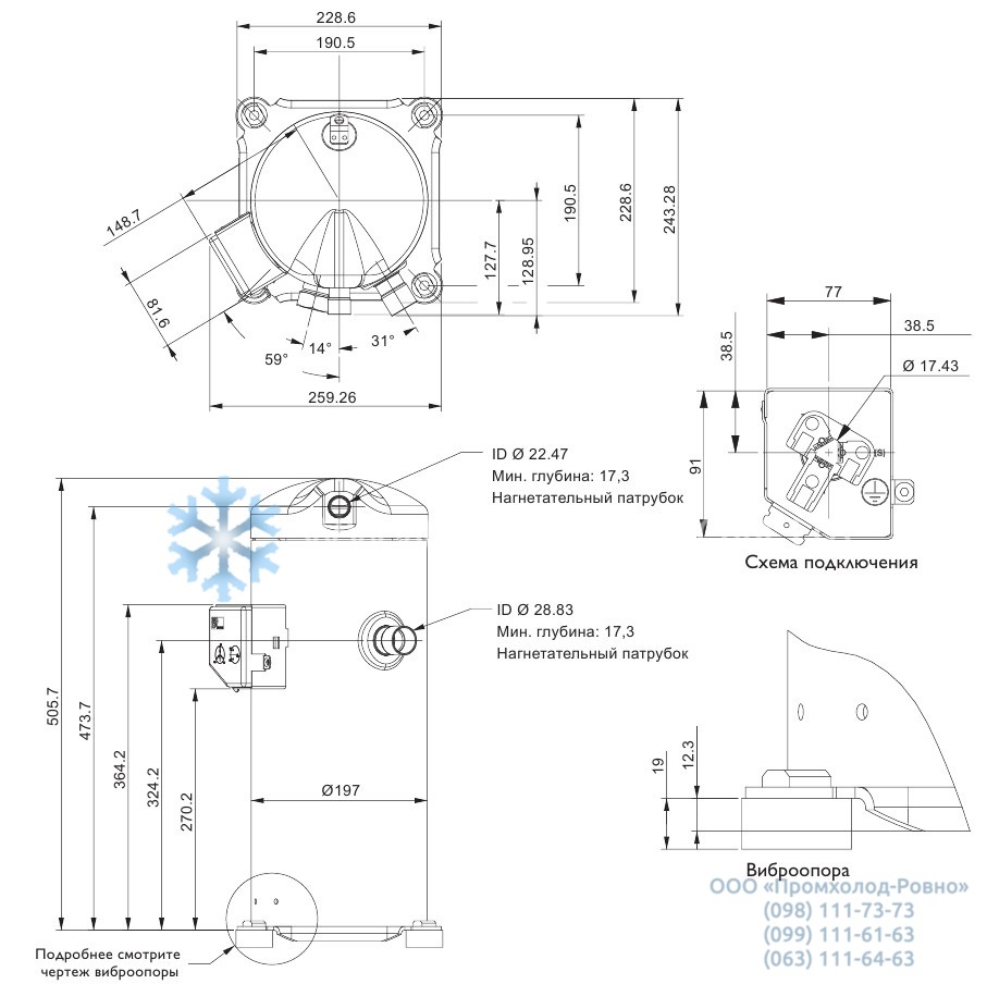 Dimensions YH200_355