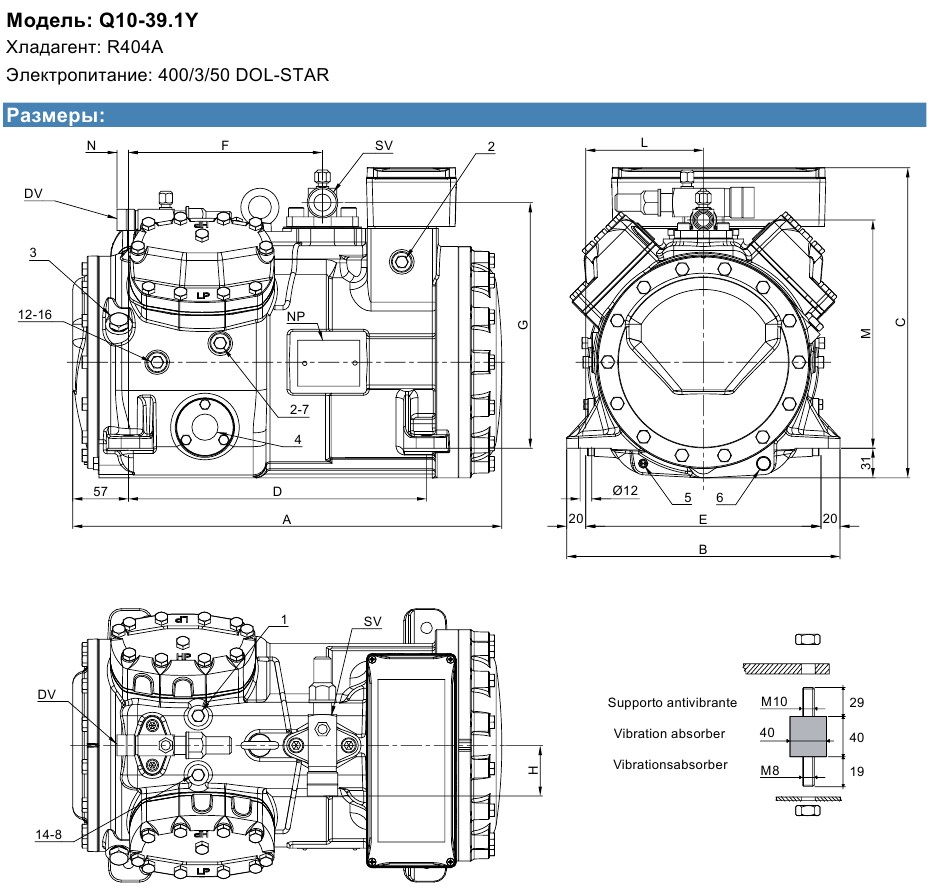 Q10-39.1Y - 2