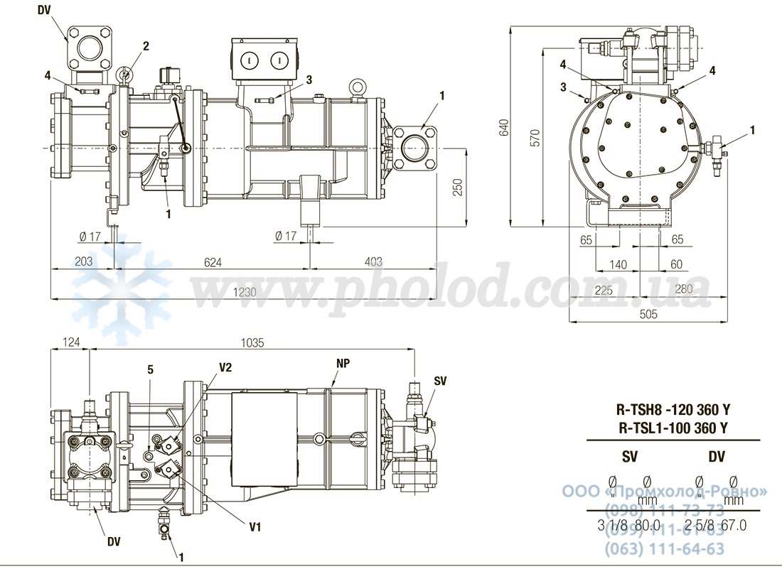 R-TSL1-100-360Y - 5