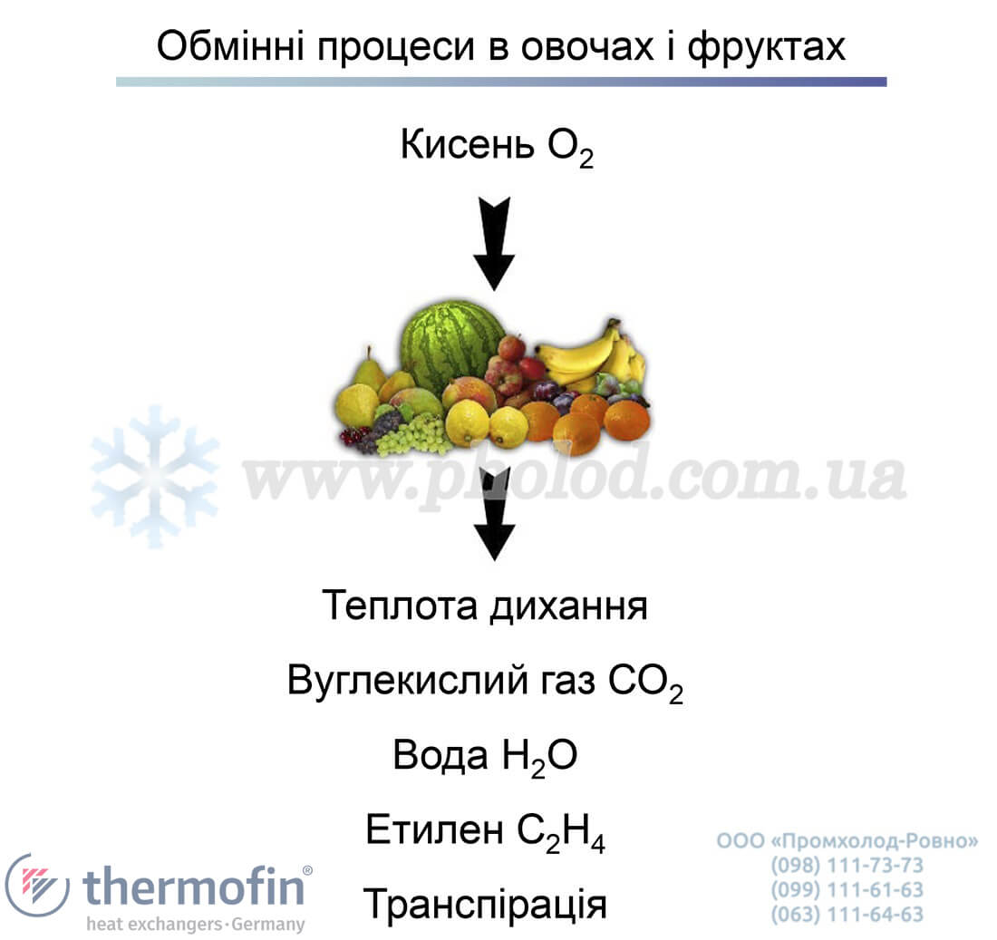 Thermofin TENA - 12